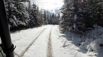 photo thumbnail #2