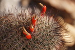 photo thumbnail #9
