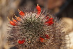 photo thumbnail #10