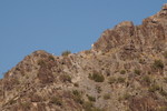 photo thumbnail #14