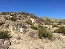 photo thumbnail #7