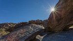 photo thumbnail #6