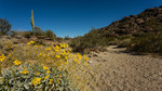 photo thumbnail #7