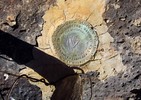 Featured Detail Photo