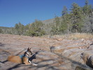 photo thumbnail #6