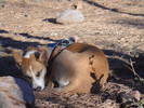 photo thumbnail #7