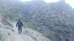 photo thumbnail #6