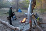 photo thumbnail #2