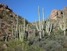 photo thumbnail #14