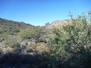 photo thumbnail #9