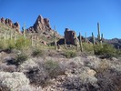 photo thumbnail #4
