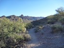 photo thumbnail #2