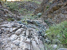 photo thumbnail #12