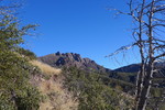 photo thumbnail #3