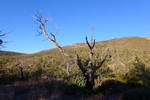 recent photo