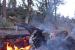 photo thumbnail #8