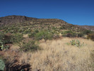 photo thumbnail #7