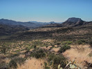 photo thumbnail #12