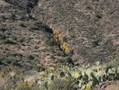 photo thumbnail #13