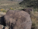 photo thumbnail #15