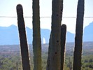 photo thumbnail #3
