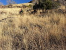 photo thumbnail #1