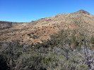 photo thumbnail #12