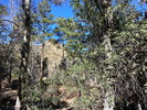 photo thumbnail #13