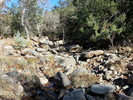 photo thumbnail #14