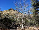 photo thumbnail #15