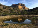 Featured Full Photo