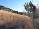 photo thumbnail #2
