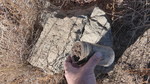 photo thumbnail #12