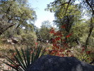 photo thumbnail #10