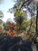 photo thumbnail #11