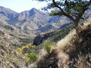 photo thumbnail #12