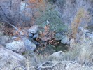photo thumbnail #4