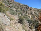 photo thumbnail #6