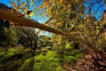 photo thumbnail #9