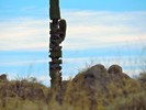photo thumbnail #4