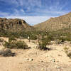 photo thumbnail #2