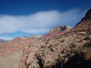 photo thumbnail #12
