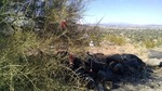 photo thumbnail #1