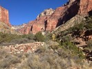 photo thumbnail #13