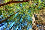 photo thumbnail #11