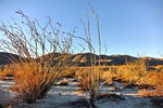 photo thumbnail #13
