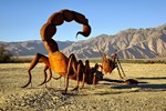 photo thumbnail #14