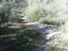 photo thumbnail #10