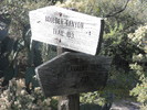 photo thumbnail #11