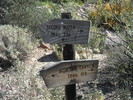 photo thumbnail #14
